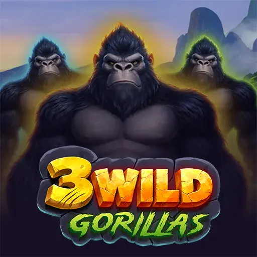 3 Wild Gorillas